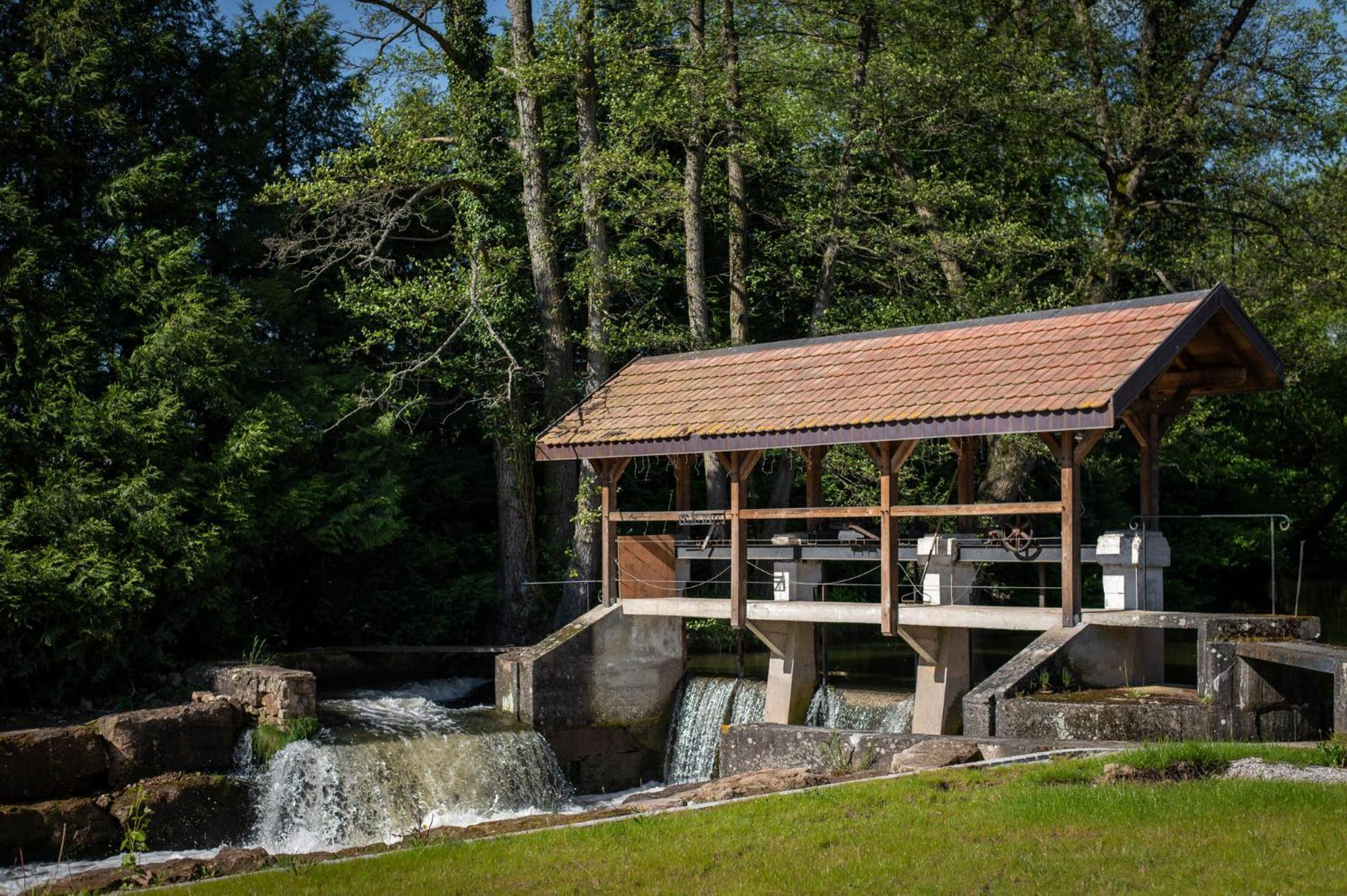 Les Gites De La Karlsmuhle Haguenau Esterno foto